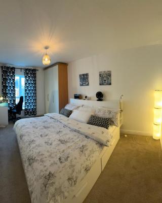 Spacious En-suite Room