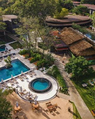 El Mangroove Papagayo, Autograph Collection