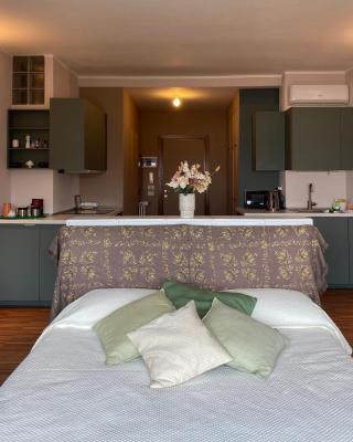 Il cielo sopra Cesena