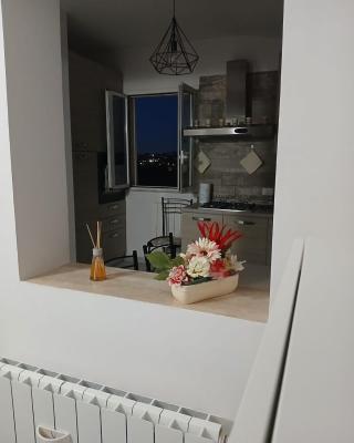 Molly's Appartment