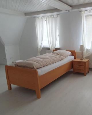 Zentrales, charmantes Zimmer an der Universitätsklinik Mainz