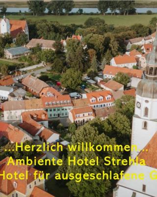 Ambiente Hotel Strehla