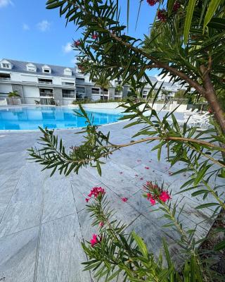 Easy Friendly SXM