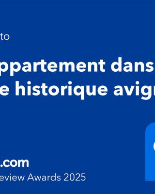 Bel appartement dans centre historique avignon
