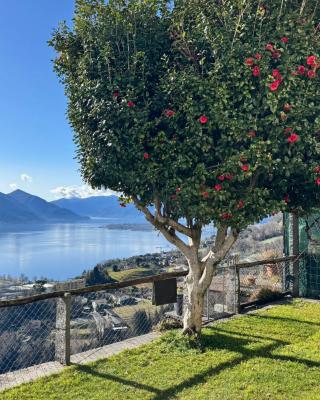 Casa Reto - Das Ferienhaus im Tessin