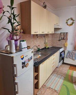 Apartman Pašićeva