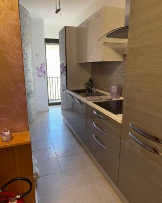 Michelle Luxury Living in centro a Gorizia