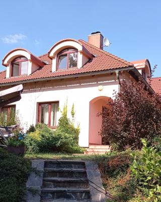 Apartmány U Orlického jezera - Kamenice