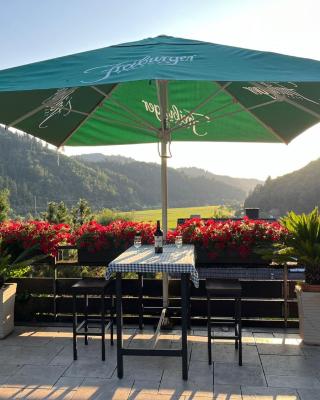 Sonnige Ferienwohnung im Kinzigtal