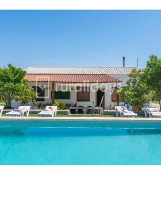 Villa Dehesa Olive
