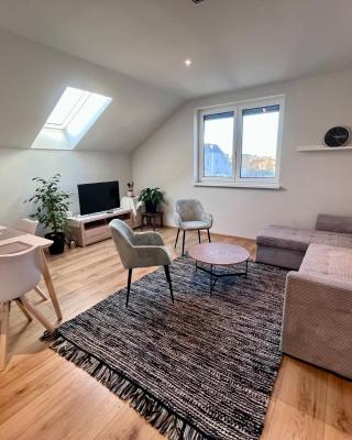 Cozy Apartment near Vienna Airport