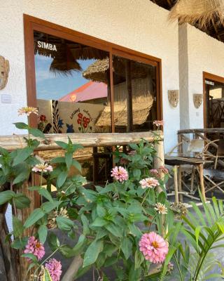 Bougainvillea nungwi zanzibar