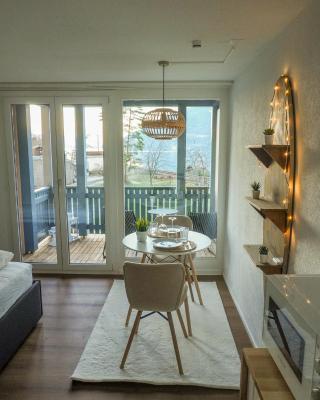 Surfers Studio with Beach, near Interlaken and Grindelwald