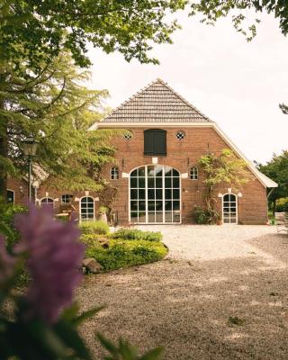 B&B Borgersteeg