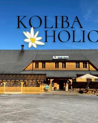 Koliba Holica