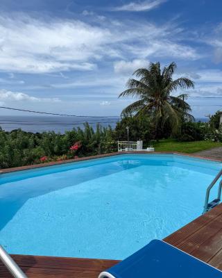 T3 Carbet vue mer piscine et location auto possible