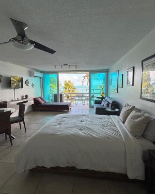 Ocean view Studio Marina Lanais