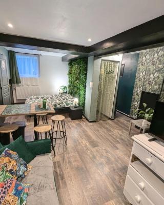 Appartement verdoyant au bord du lac Leman entre Evian et Thonon dans une Villa