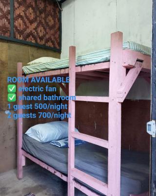 sharkbunkbed siargao