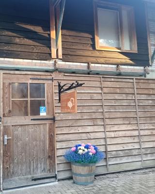 vakantiehuis en appartement De Harscamp