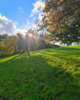 Completely Open Barn-Nature Höllhof Adventure with panoramic view outdoor -near Lucerne