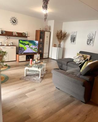 Monthey appartement