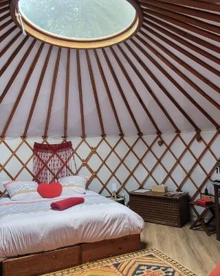 Ecolodges en Provence