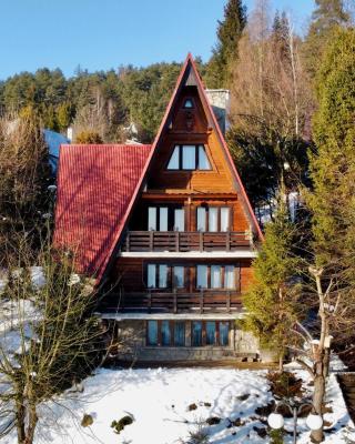 BUKOWA Jezioro Żywieckie Beskid Żywiecki Śląski Sauna Jacuzzi Kominek Morsowanie Tresna Żywiec Szczyrk