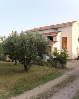 Apartments Petrica