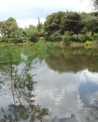 SOFA CAMP Naivasha