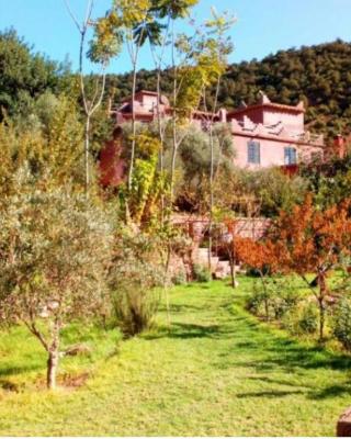 Ourika Timalizène le jardin des délices