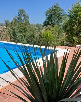 Casa Wenne - Private Pool with view