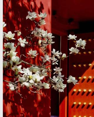 Hotel Cote Cour Deductive Beijing - Quadrangle close to Tiananmen Square & Forbidden City & Nanluoguxiang, Walk to Wangfujing, English speaking, Free WiFi, Free Laundry, Free Wonton & Noodles with Tour ticket service, Free selfies with ancient costume