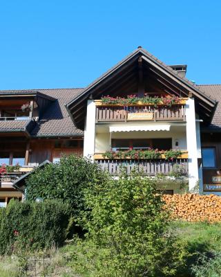 Appartment Bergblick