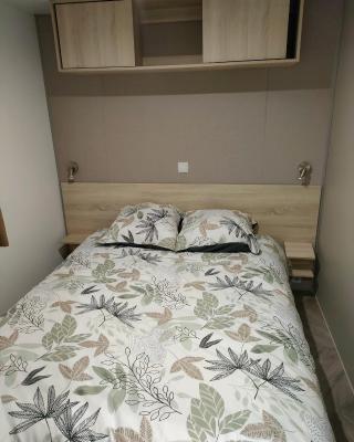 Mobil home 8 pers dans Camping Siblu Les Rives de Condrieu
