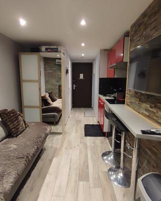 Studio les 2 Alpes au Village 1800m-Commerces et télésiège à 50m-Retour ski au pied