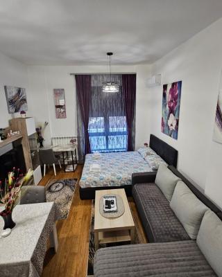 Alek Place