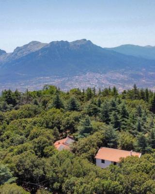 Monte Ortobene 1