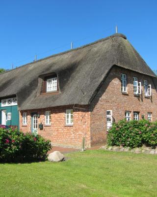 Nordseekrabbe 12 Herrenhof