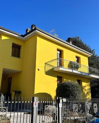 Simona Francshouse