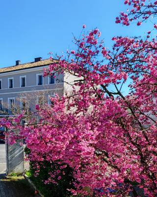 Alloggi Tosca Airport Lodges