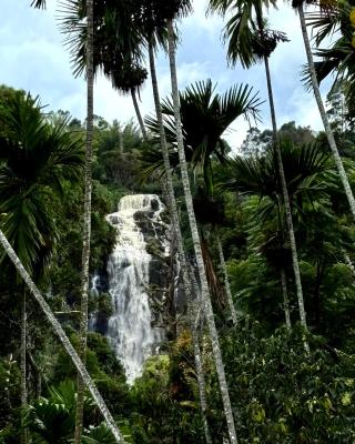 Cozy Homestay Waterfall Road Ella
