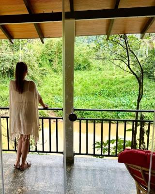 Rainforest River Bay