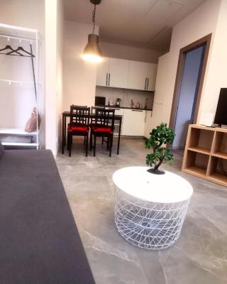 Go Residence 4 appartamento in centro città