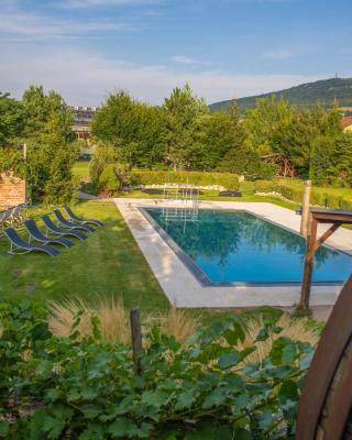Amenity Penzion Horni Vestonice