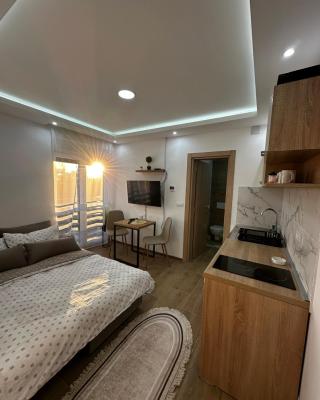 Apartmani Mojić Divčibare 2