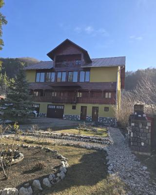 Vila Drumetului