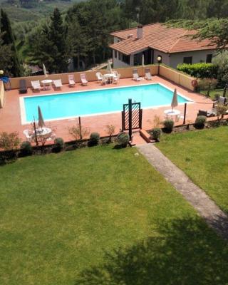 Olive Tree Apartment