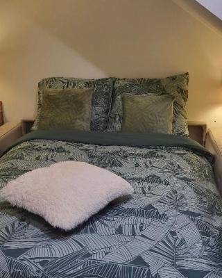 Nice Accommodati on 5 minutes from the center