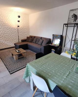 Apt 9 personnes garage, Wi-Fi, tram, parking, climatisation, jeux